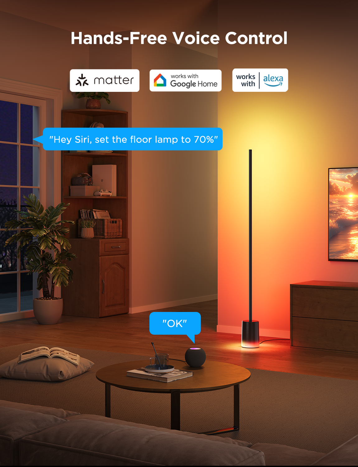 GOVEE BLACK FLOOR LAMP SUPPORT MATTER
