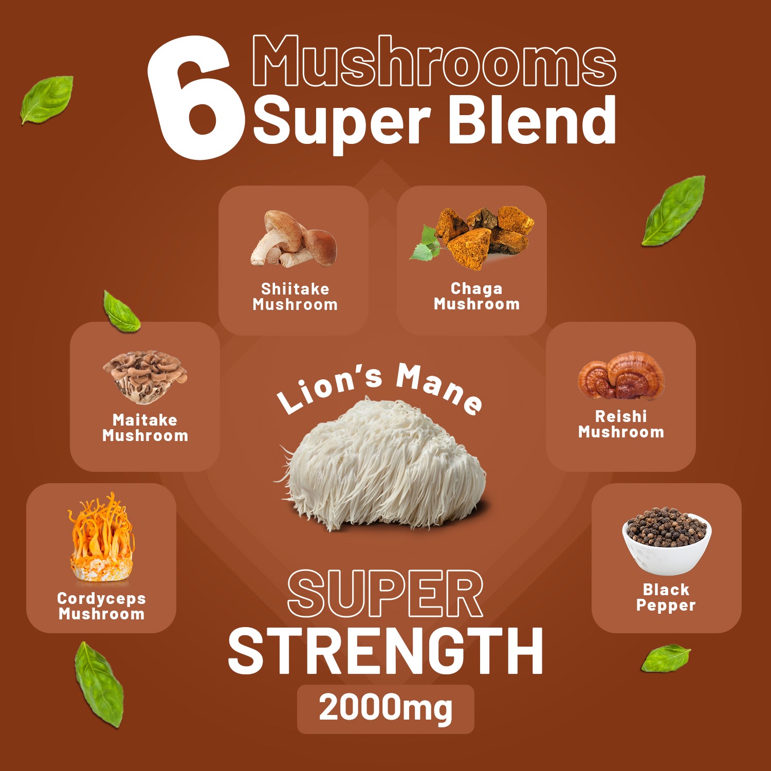Prowise Healthcare Advanced Mushroom Complex 2000mg, 6 Mushroom Blend with Lion’s Mane, Chaga, Cordyceps, Shiitake, Reishi and Maitake, with Black Pepper, 120 Vegan Tablets, Made in UK