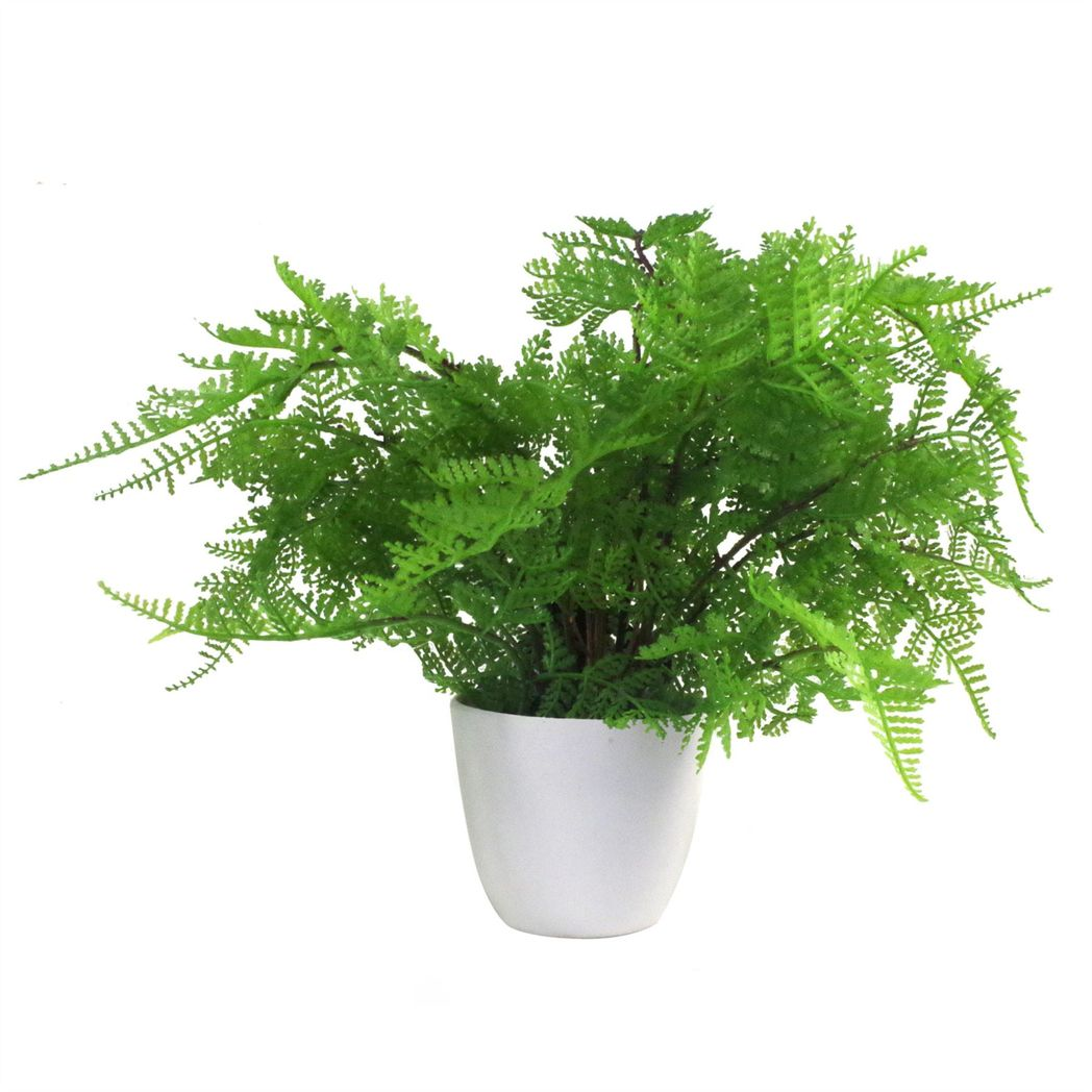 Leaf 30cm Realistic Artificial Potted Lady Fern (Athyrium Filix-Femina) in Weighted Plastic Pot