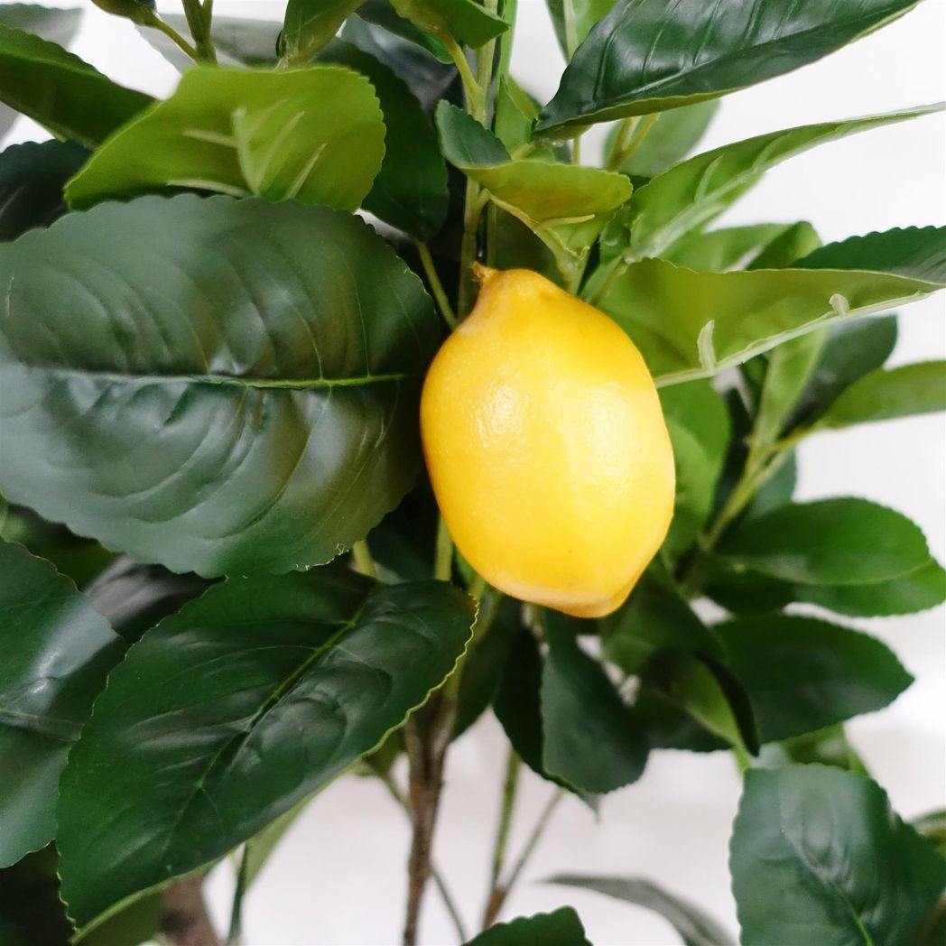 Leaf 150cm Premium Artificial Lemon Tree in Weighted Plastic Pot
