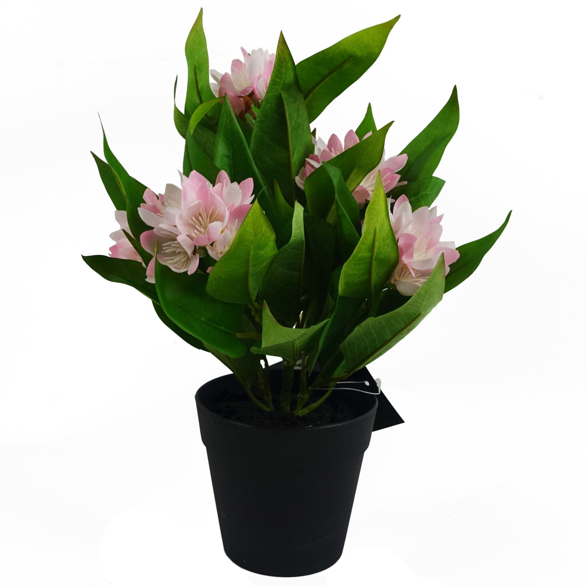 Leaf Pack of 3 Artificial Freesia Plants, Pink, Blue and White, 18cm