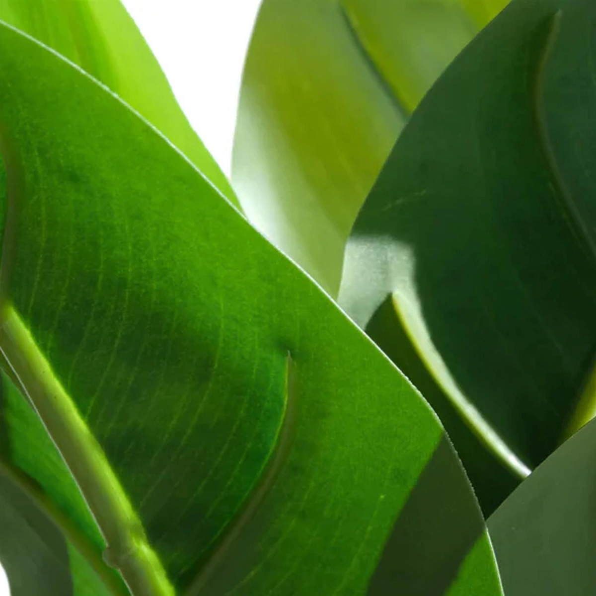Leaf 45cm Artificial Aureum Artificial Plant in Pot