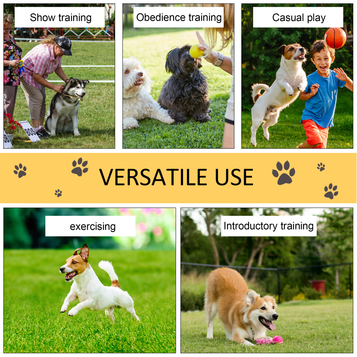 Pet Agility Training Set with Hoop Poles, Tunnel, Ground Stakes, Rope and Carrying Bag