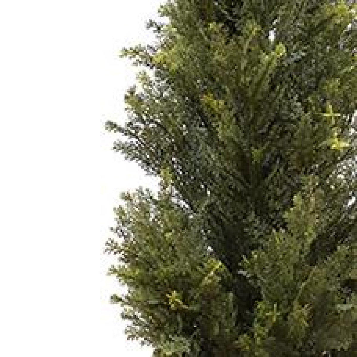 120cm Artificial Cypress Topiary Tree, Natural Look, Full Lifelike Appearance, Maintenance Free