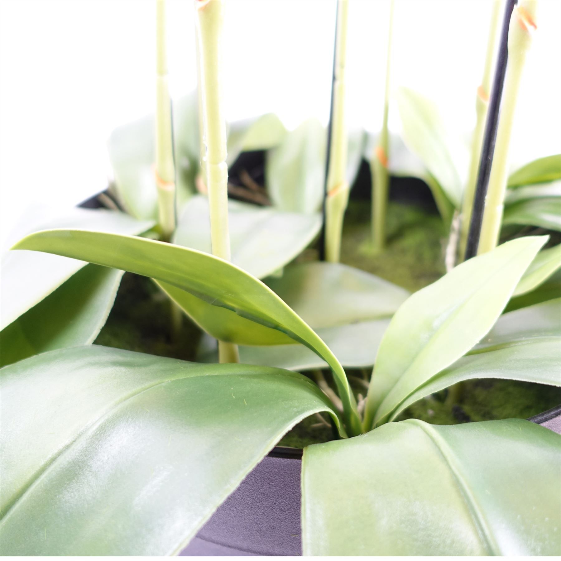 Leaf 110cm Large Yellow Peach Artificial Orchid Plant with 41 Real Touch Flowers