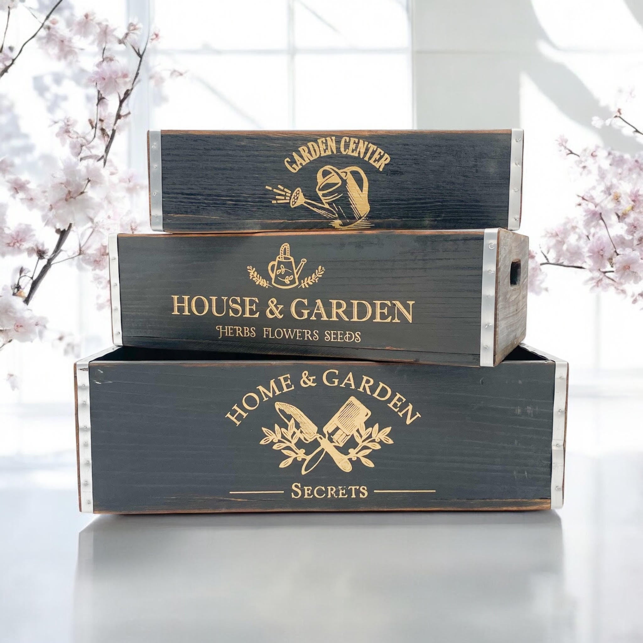 MSL Set of 3 Black Wooden Trays