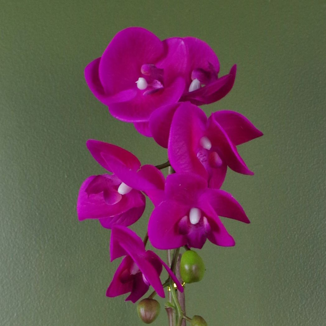 Leaf 46cm Artificial Orchid Dark Pink and Gold in Decorative Pot with Real Touch Leaves