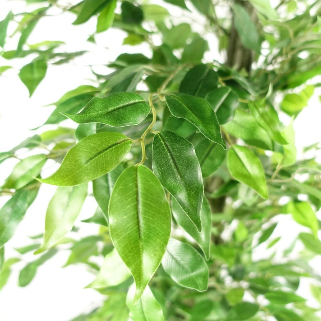 Leaf 180cm Realistic Artificial Green Ficus Tree in Black Plastic Pot