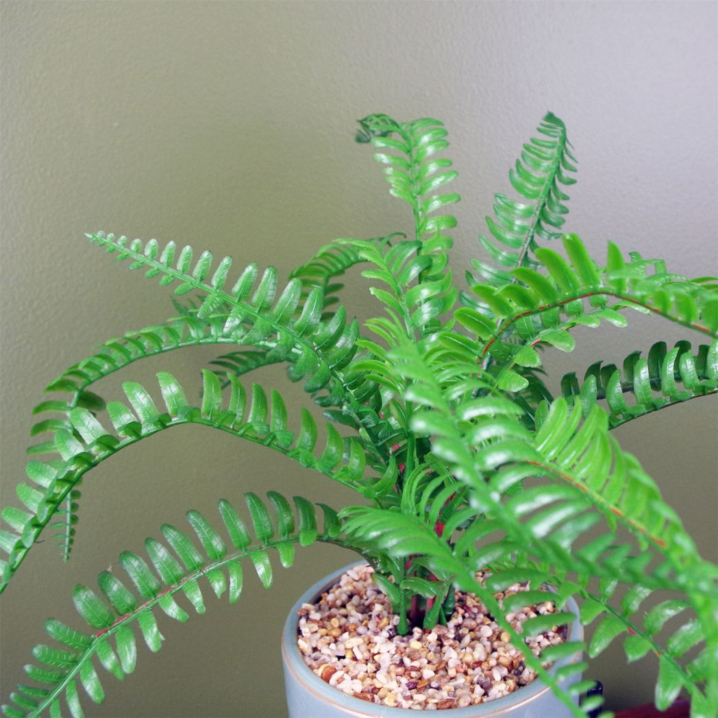 Leaf 40cm Artificial Fern Plant in Ceramic Green Planter with Metal Stand