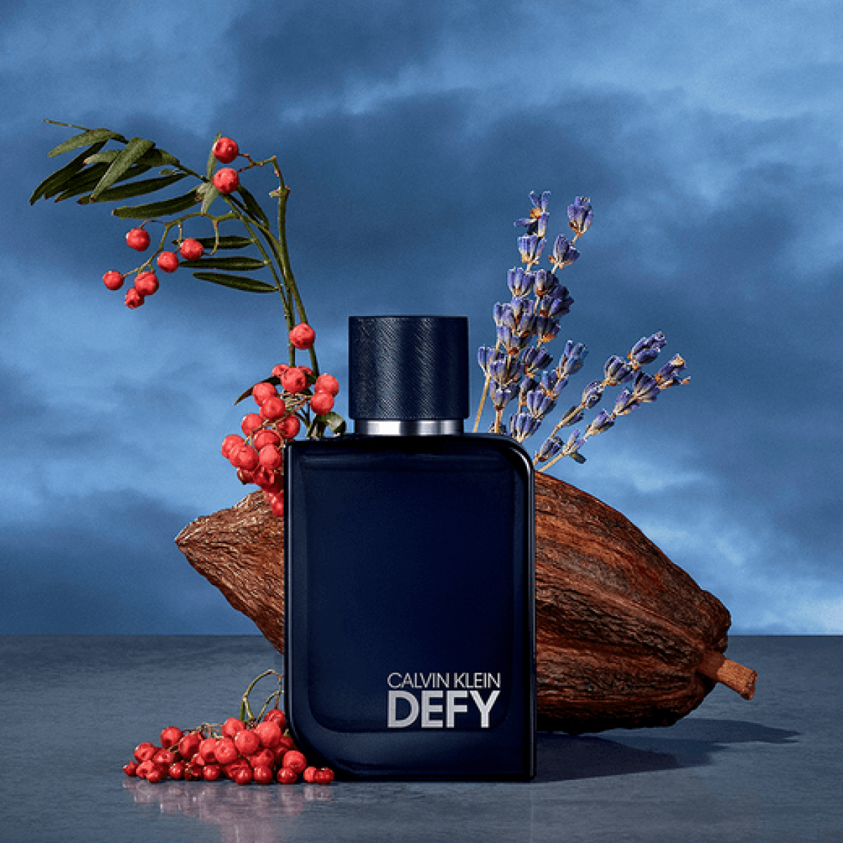 Calvin Klein Defy Eau de Parfum Spray for Men 100ml