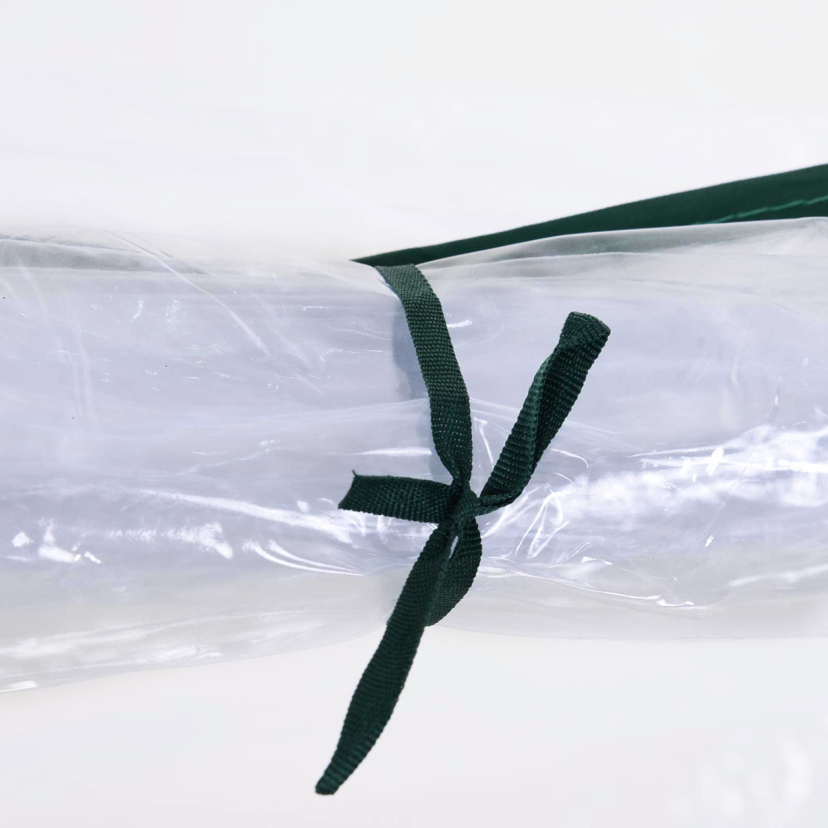 Outsunny Portable Tunnel Greenhouse with Steel Frame and PVC Cover, Transparent, 250 x 100 x 80 cm