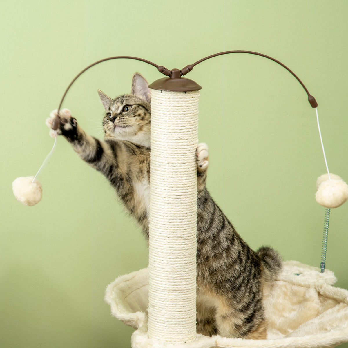 Cat Tree for Indoor Cats with Scratching Posts, Hammock, Toy Ball, Pawhut
