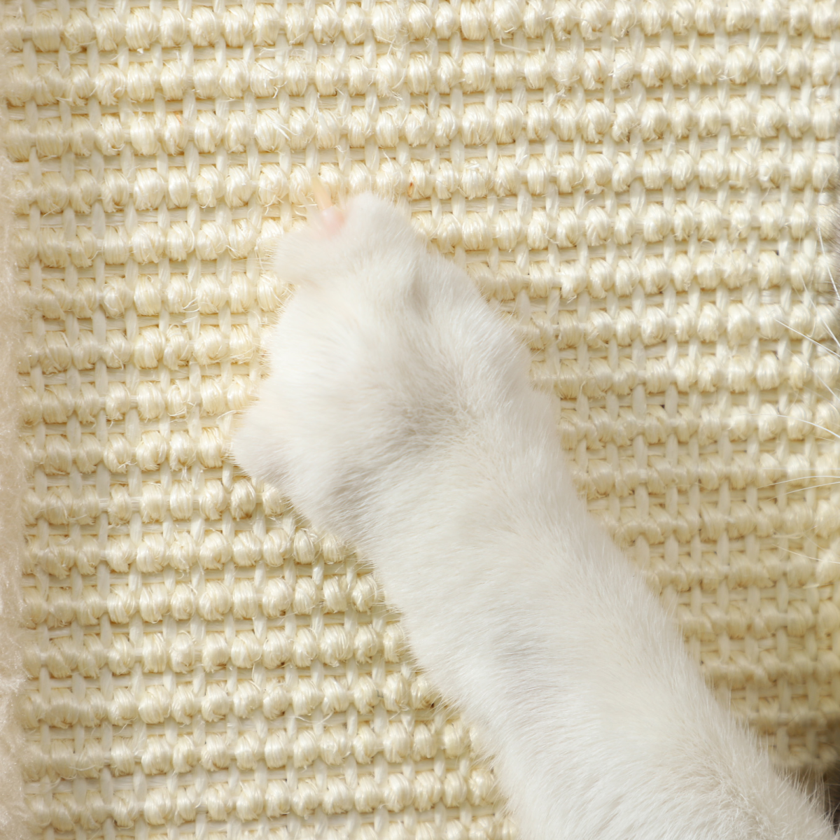 PawHut 67cm 3-in-1 Cat Scratching Post with Sisal & Track Ball Toy