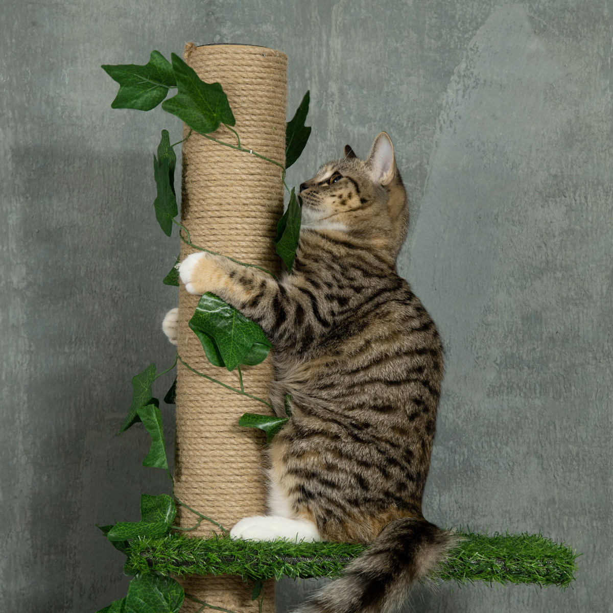 202-242cm Adjustable Floor-to-Ceiling Cat Tree, Green, Anti-Slip Kit