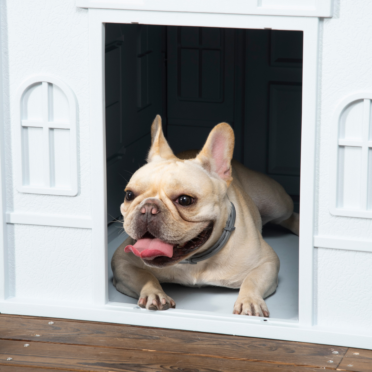 PawHut Weather-Resistant Plastic Dog House for Medium Dogs, Easy-Clean Puppy Shelter with Slanted Roof and Ventilated Door