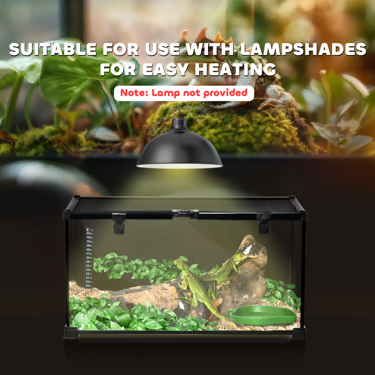 Pawhut Glass Reptile Terrarium Habitat for Lizards, Frogs and Snakes