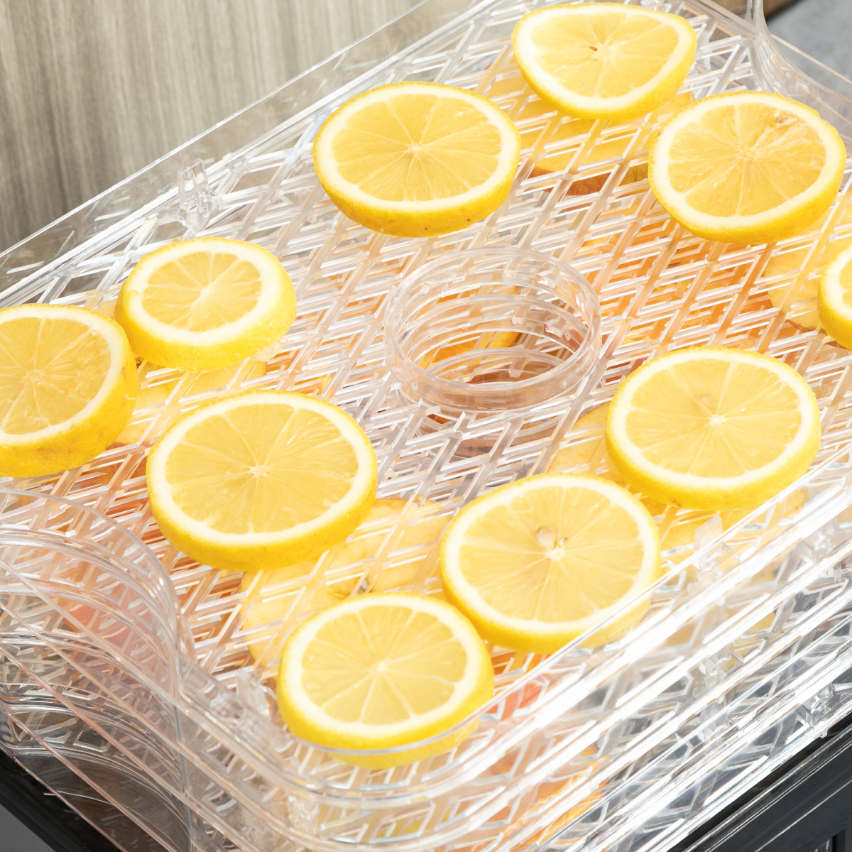 HOMCOM 5-Tier Stainless Steel Food Dehydrator, 245W, LCD Timer
