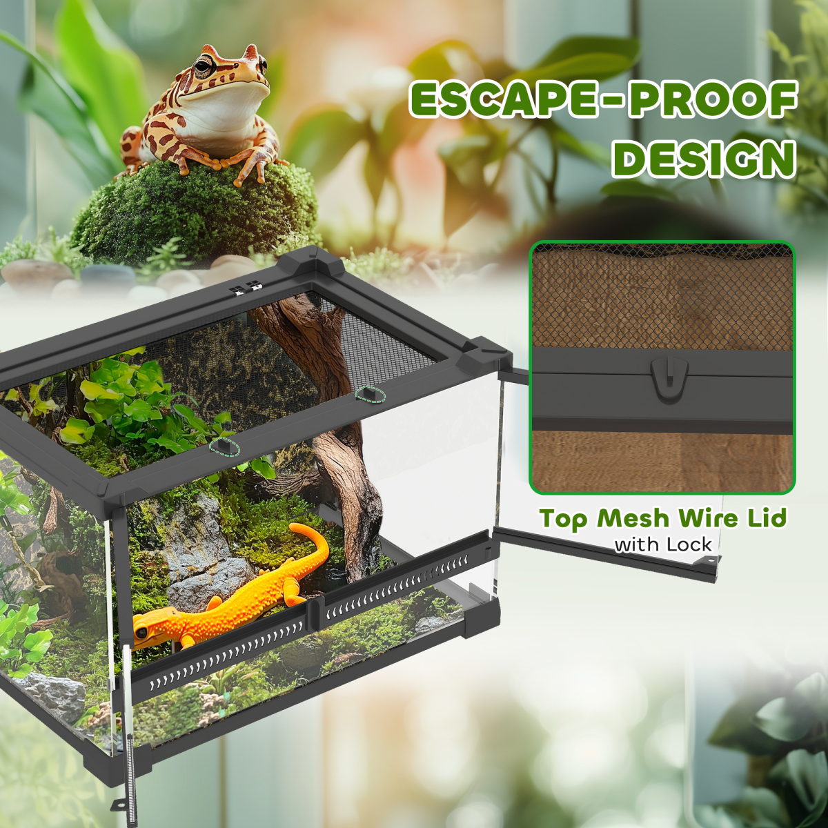 Reptile Glass Terrace