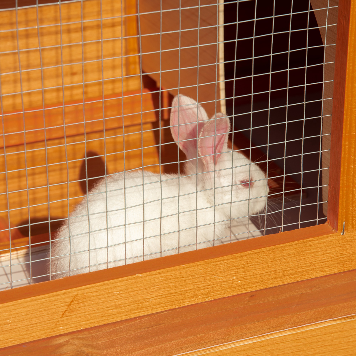 2-Tier Wooden Rabbit Hutch for Small Animals, Outdoor Backyard Bunny House