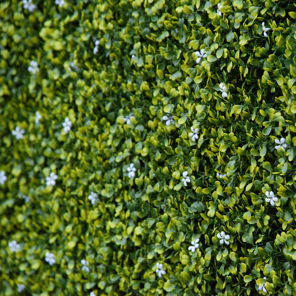 Outsunny 12-Piece Artificial Milan Grass Wall Panels 20" x 20" Decorative Fence Screen