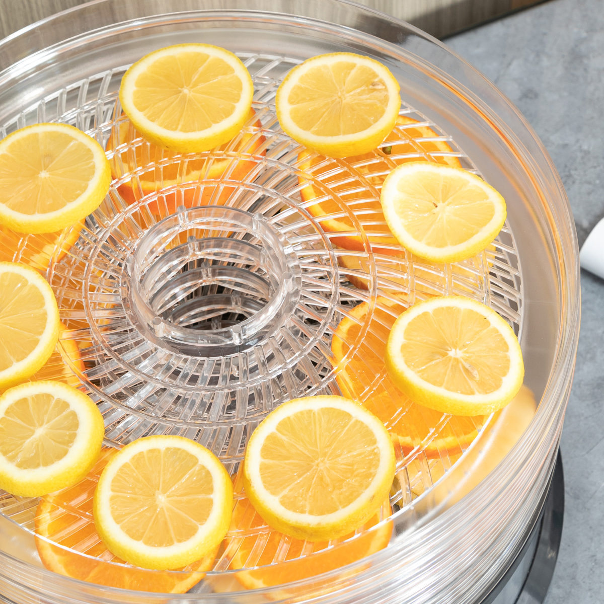 HOMCOM 5-Tier Food Dehydrator, 250W Stainless Steel Dryer