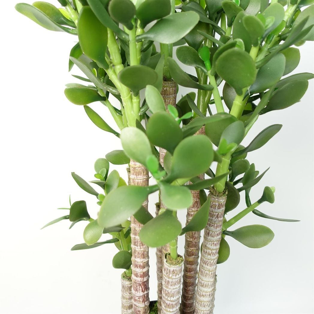 Leaf Artificial Deluxe 75cm Green Jade Plant in Weighted Plastic Pot