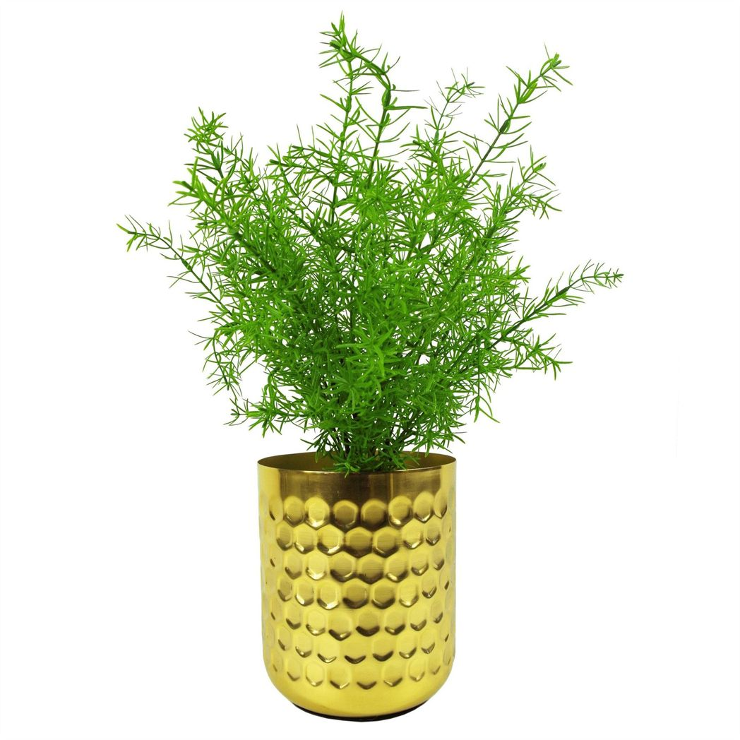 Leaf 45cm Artificial Asparagus Fern Plant, Unpotted Wired Stem Artificial Plant