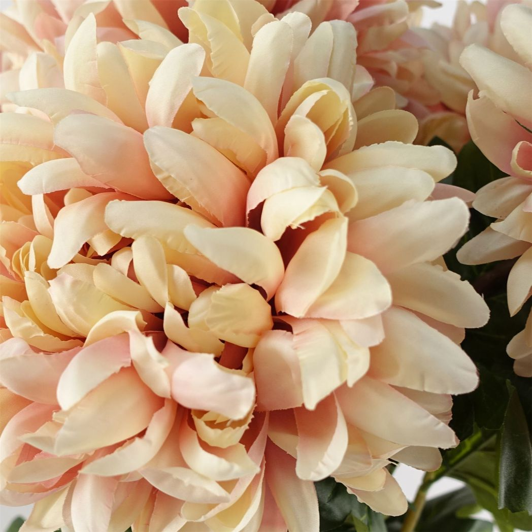 Leaf Pack of 6 Pink Extra Large Reflex Chrysanthemum Silk Flower Stems 75cm