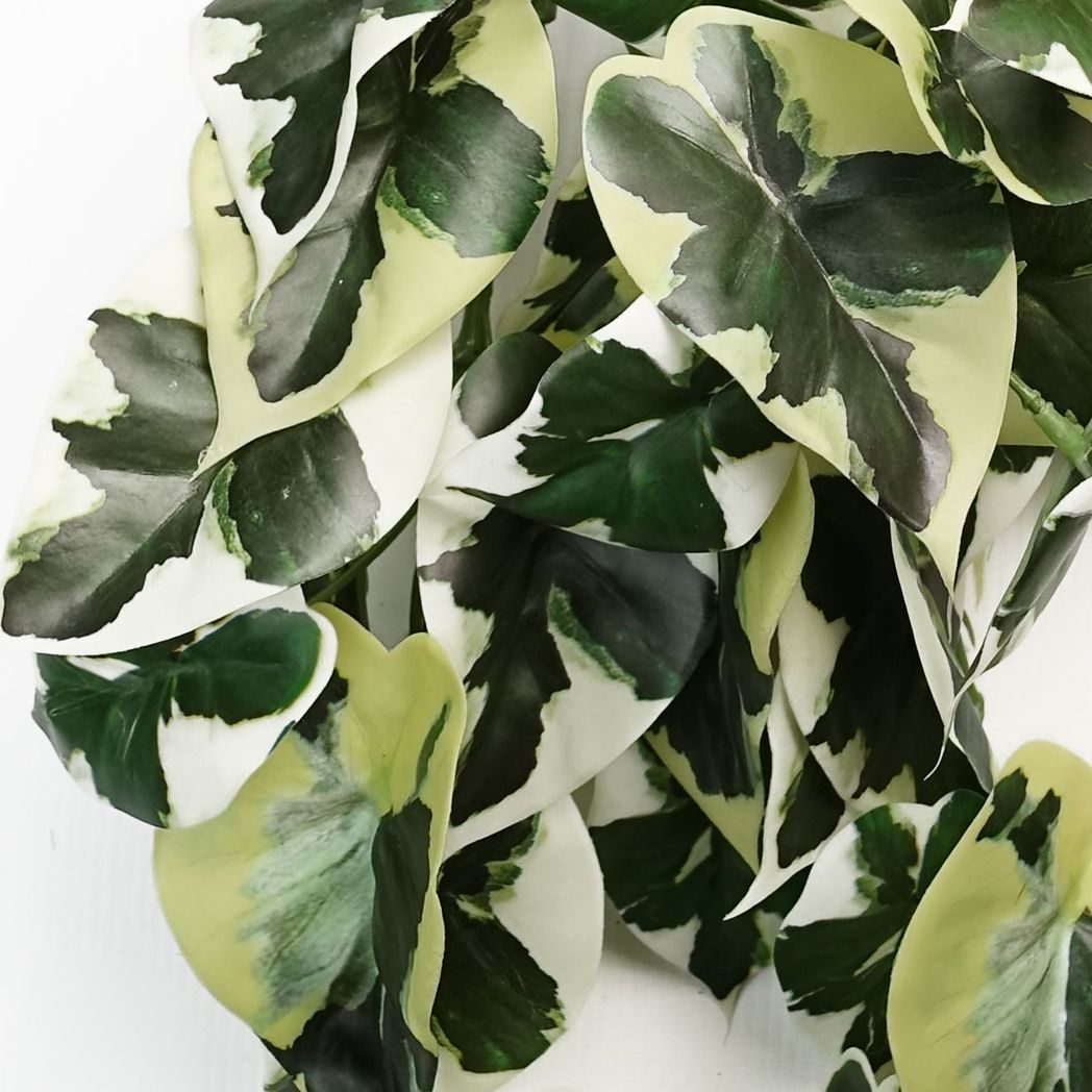 Leaf 40cm Artificial Trailing Variegated Marble Pothos Plant, Bare Stem, No Planter Included