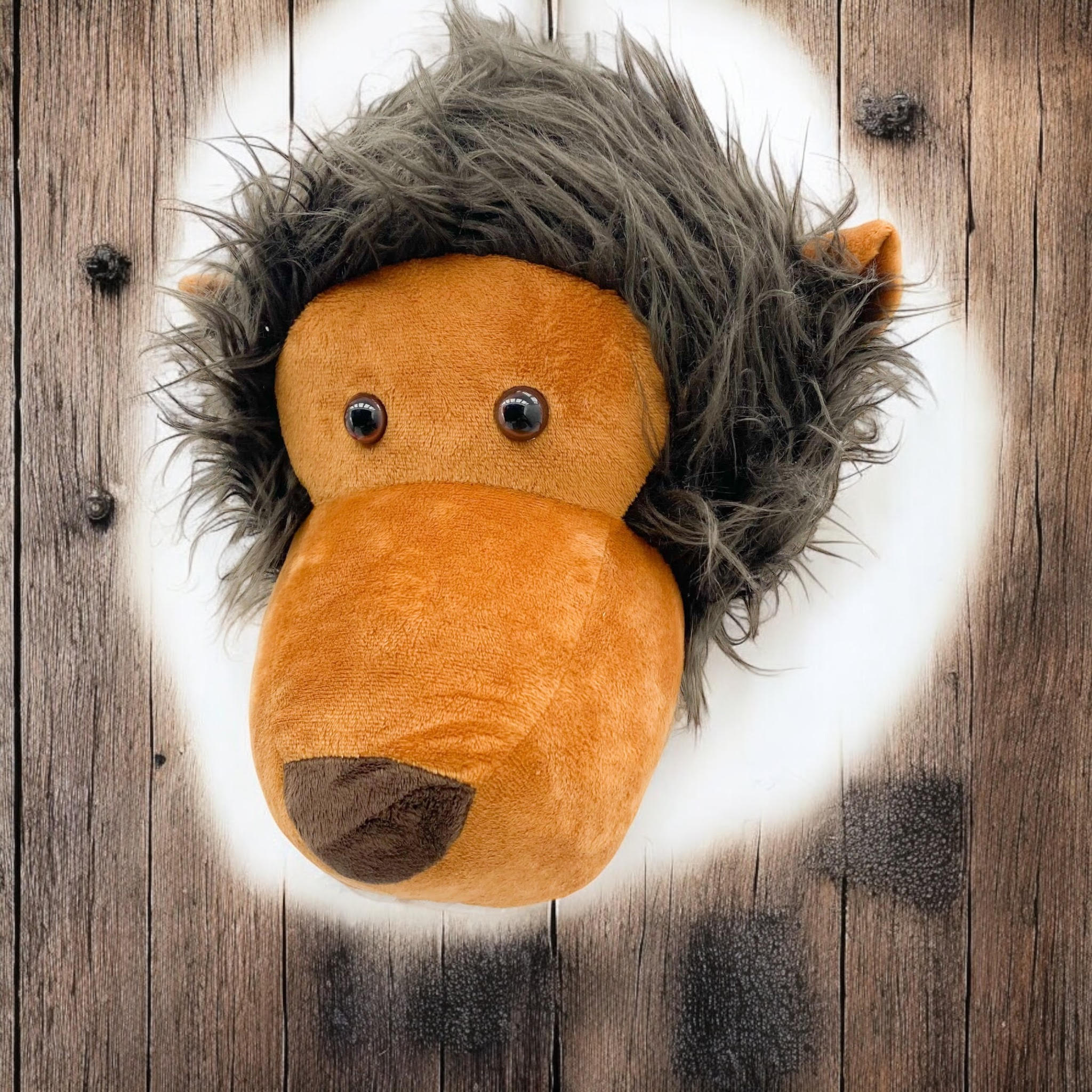 MSL 26cm Multi-Colored Lion Head Wall Hanger
