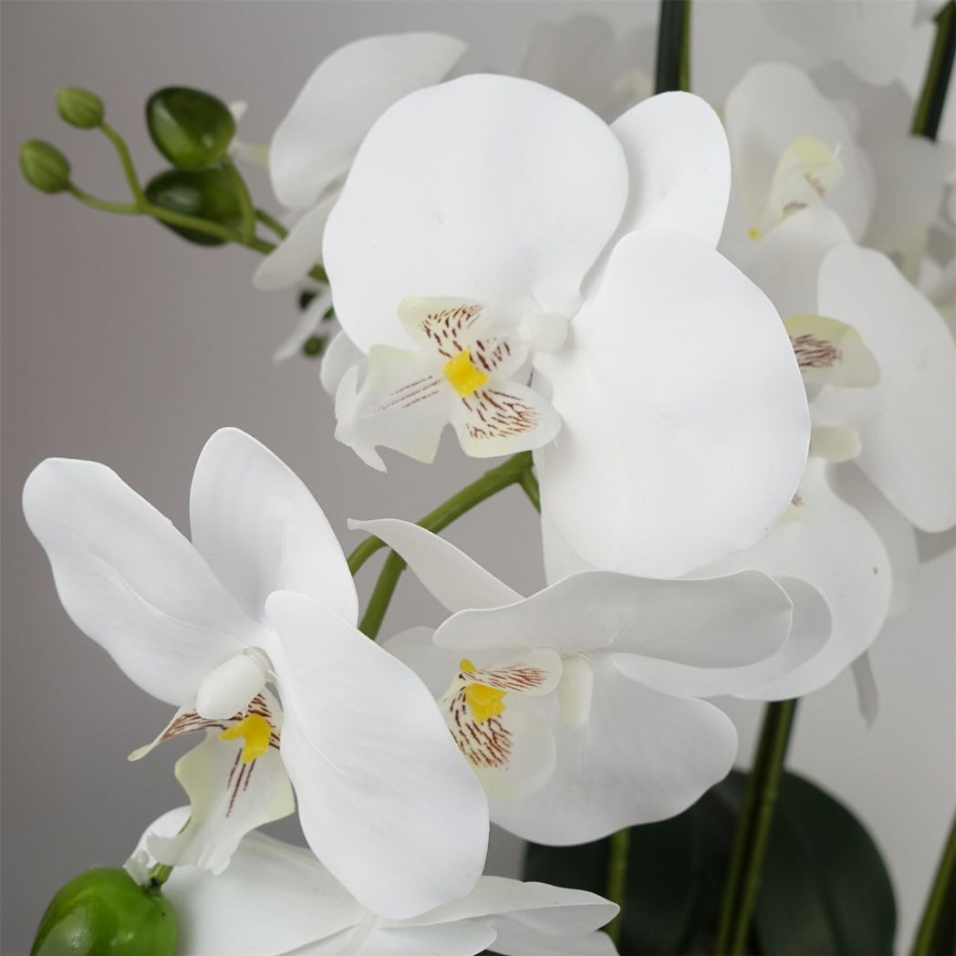 Leaf 50cm Artificial White Orchid with Glass Planter