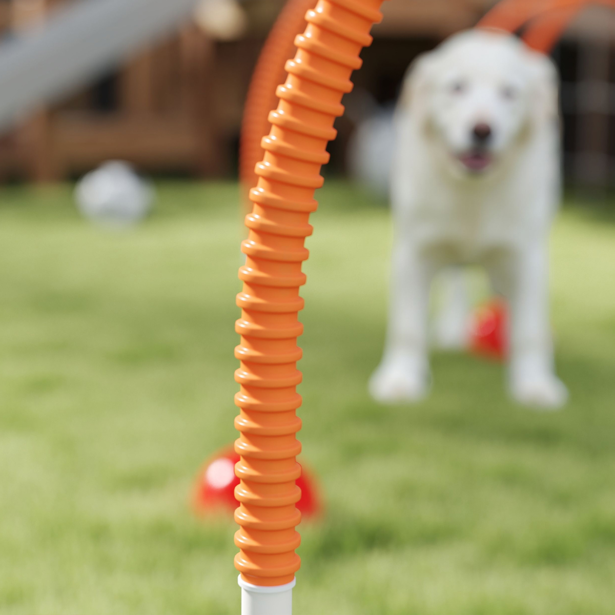 PawHut 4-Piece Dog Agility Training Set with Carry Bag, Orange