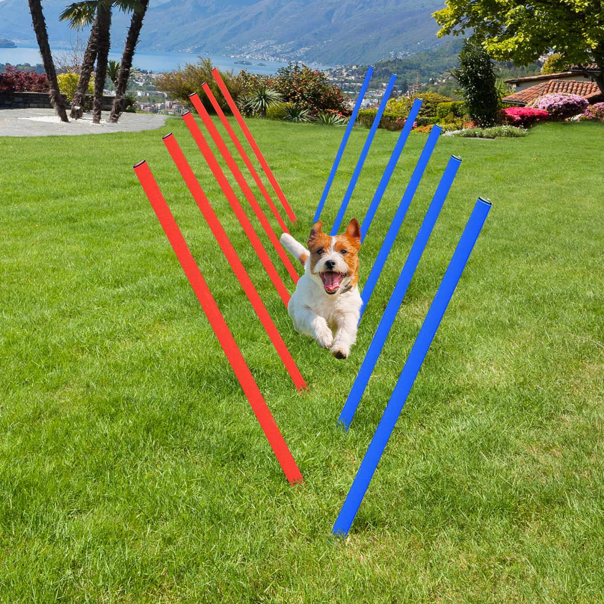 Pet Agility Training Set with Hoop Poles, Tunnel, Ground Stakes, Rope and Carrying Bag