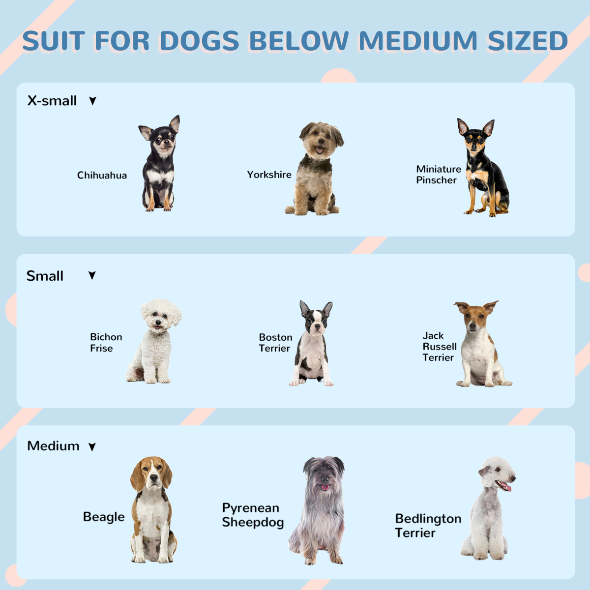 PawHut Weather-Resistant Plastic Dog House for Medium Dogs, Easy-Clean Puppy Shelter with Slanted Roof and Ventilated Door