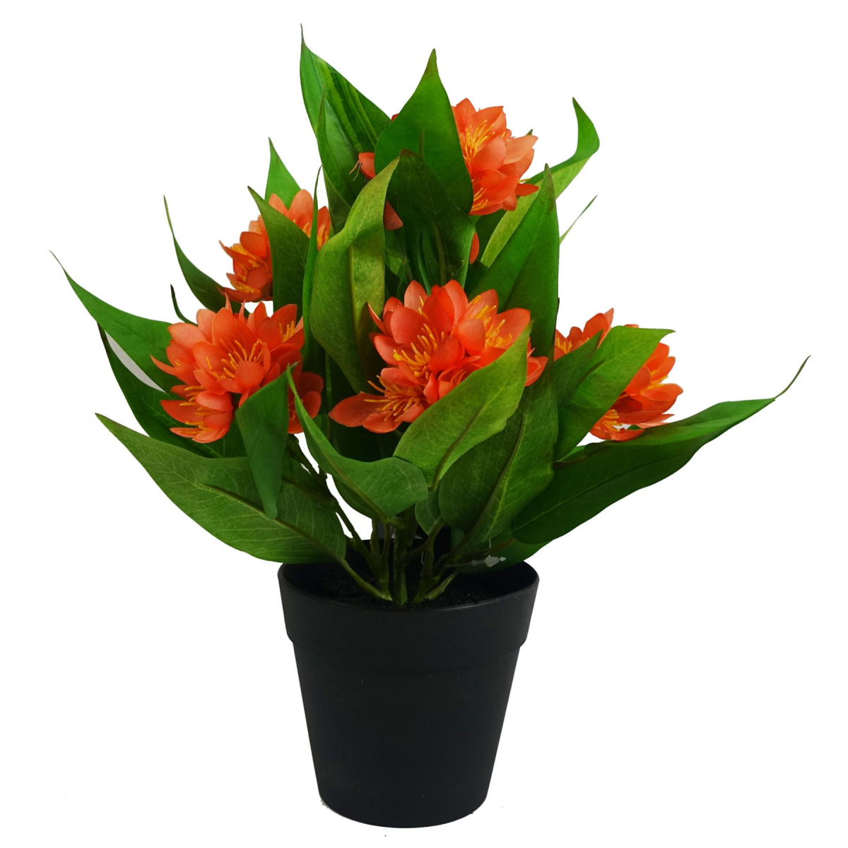 Leaf Pack of 6 Artificial Freesia Plants in Assorted Colours, 18cm Flowering Plants