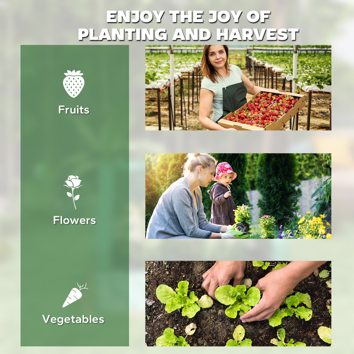 Outsunny Raised Garden Bed Planter Box with Greenhouse Cover