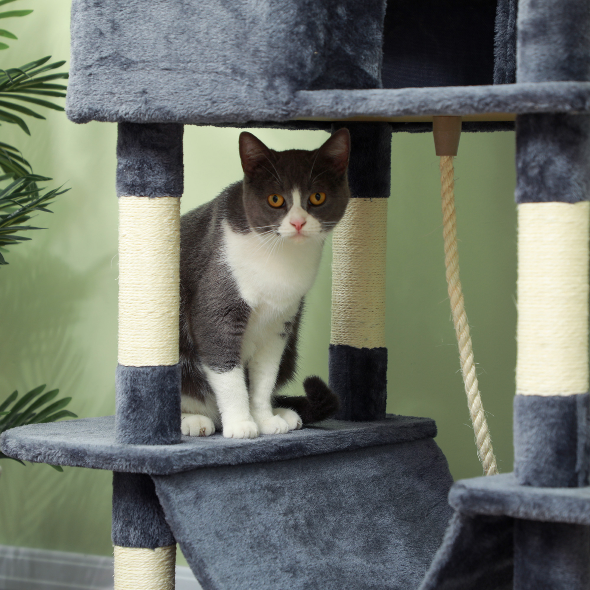 PawHut 206cm Tall Cat Tree with Beds, Condos, Scratching Posts