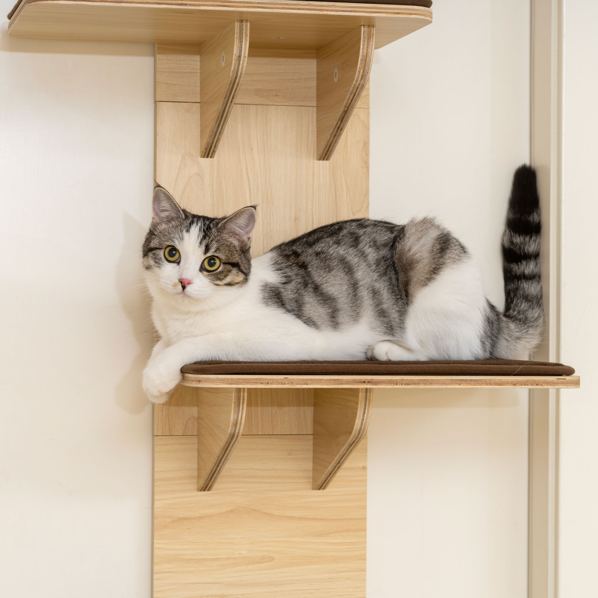 PawHut 4-Level Over-Door Cat Tree with Washable Plush Pads, Toy Ball