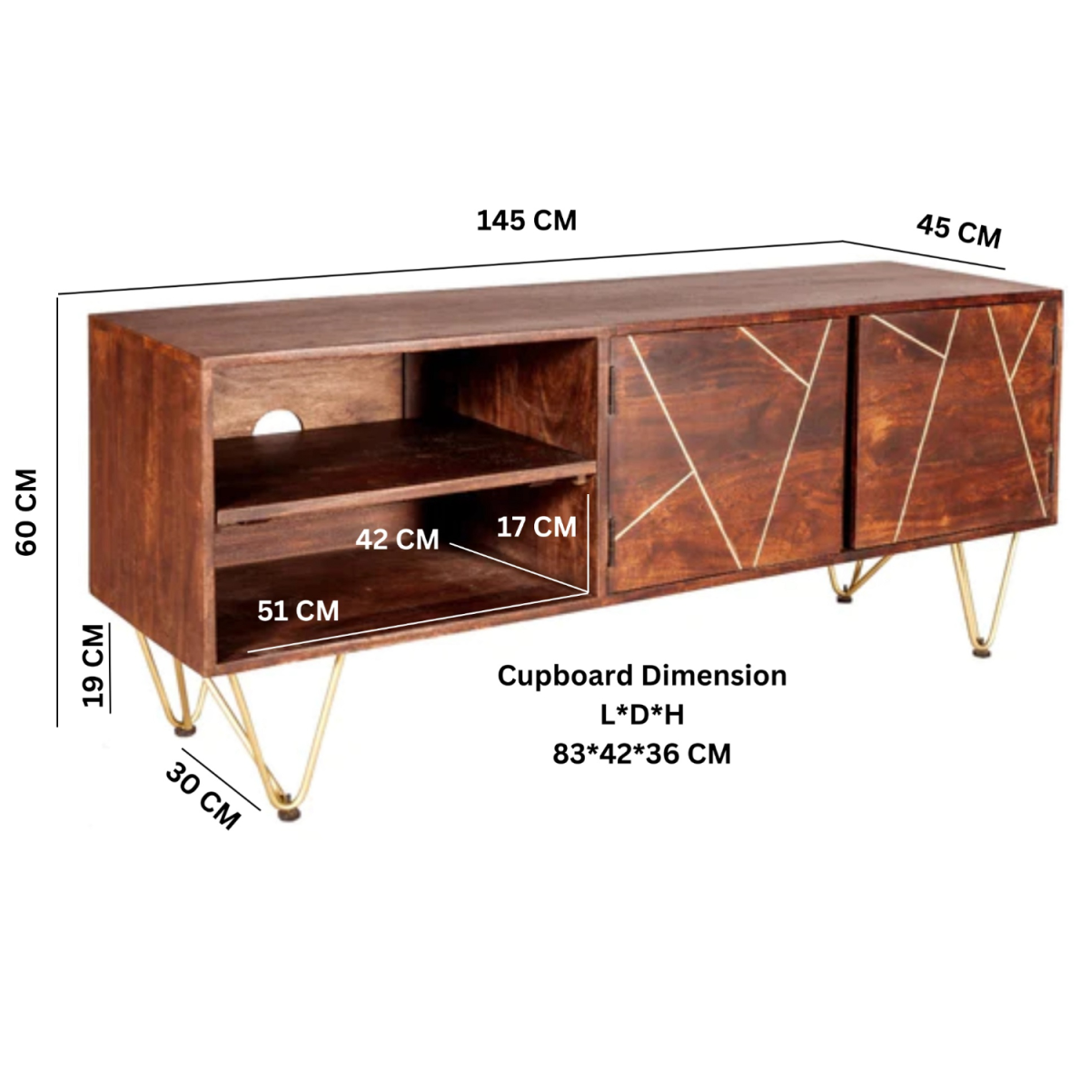 Dark Gold Plasma Media Unit