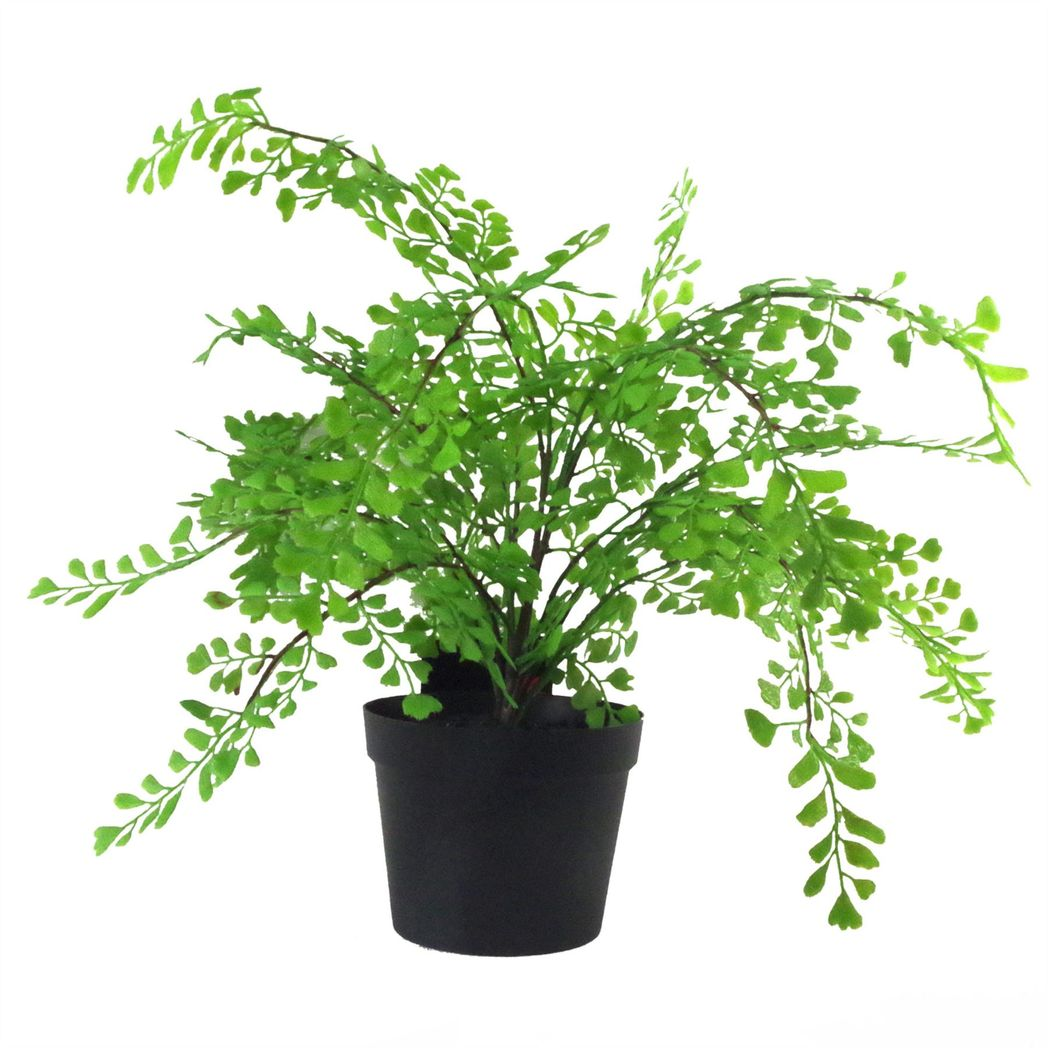Leaf 35cm Artificial Potted Maiden Fern Plant