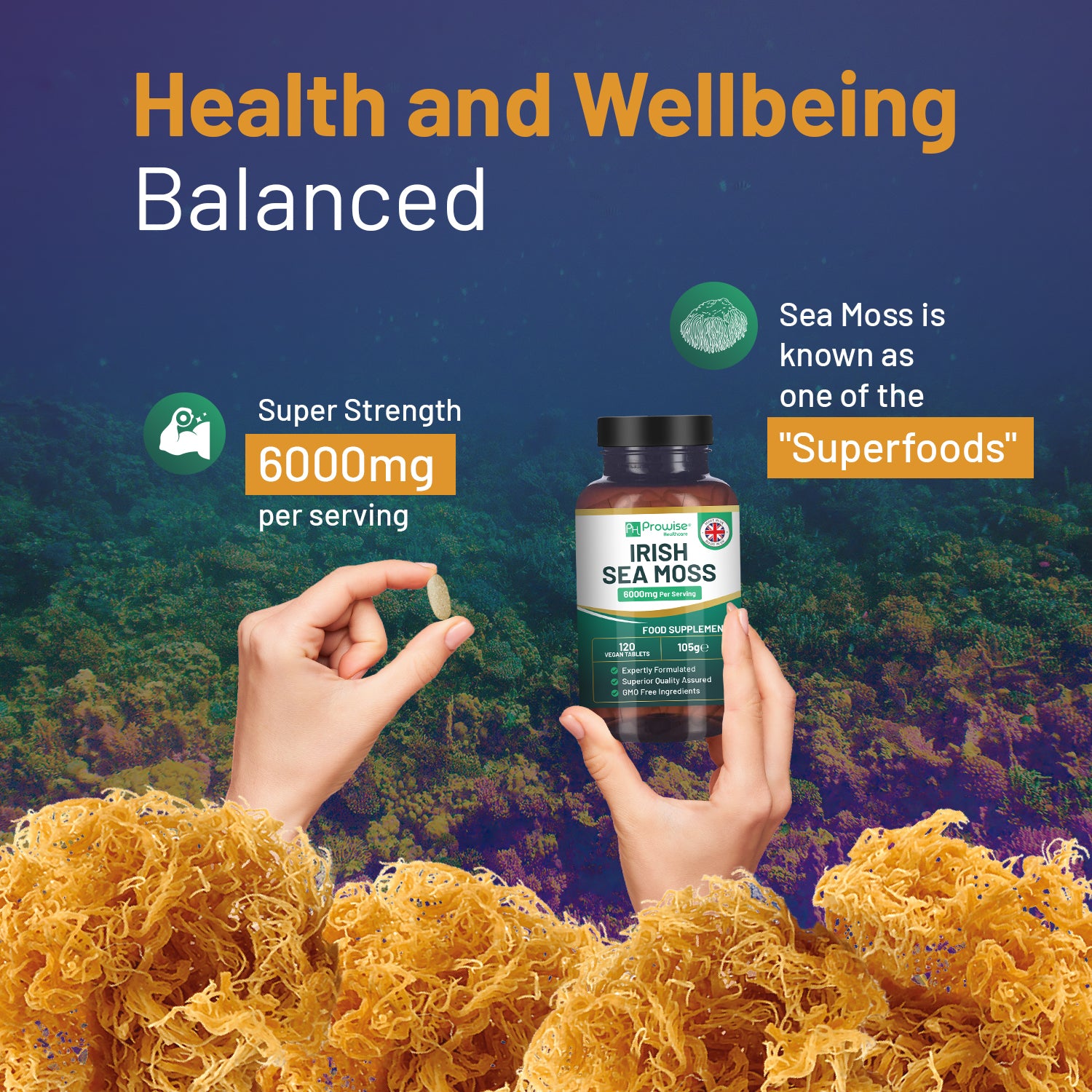 Prowise Healthcare Irish Sea Moss Tablets 6000mg, 120 Vegan Tablets, UK Made, Non-GMO