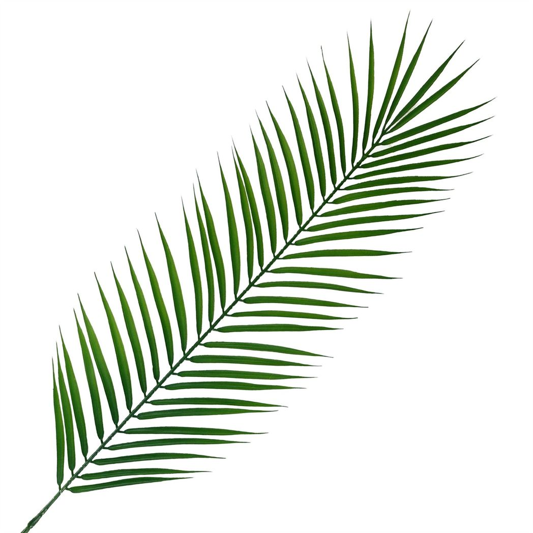 Pack of 6 Realistic Artificial Palm Leaves, 100cm Tall, Wired Shapable Stems