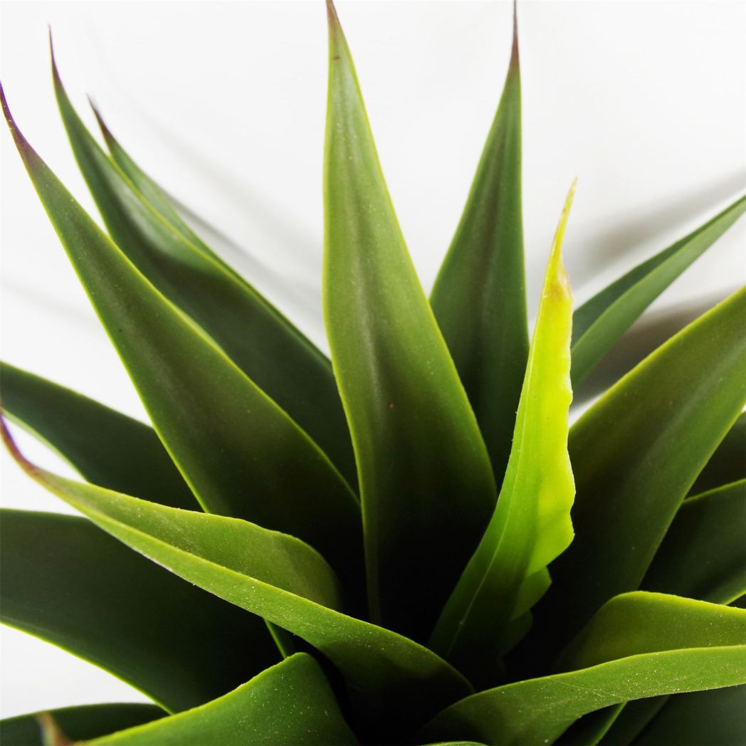 Leaf 55cm Artificial Yucca Plant in Plastic Pot