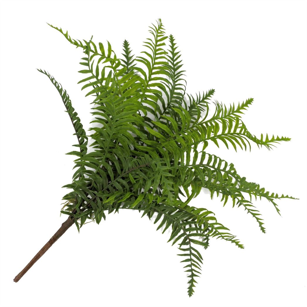 Leaf 50cm Artificial Boston Fronded Fern Plant Bare Stem Unpotted