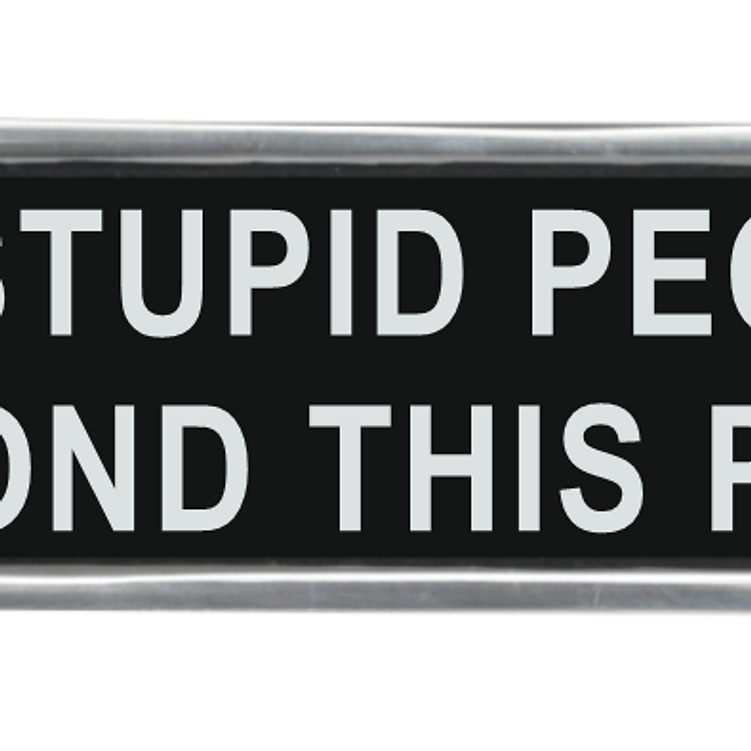 MSL 20cm Aluminium No Stupid People Sign, Small Slim Hand Finished Wall Decor, Pre-Drilled Holes