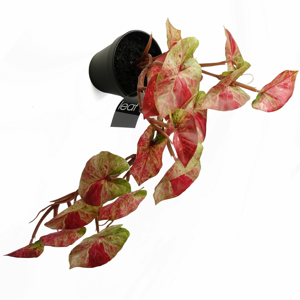 Leaf Artificial Trailing Hanging Alocasia Plant in Black Pot 35cm
