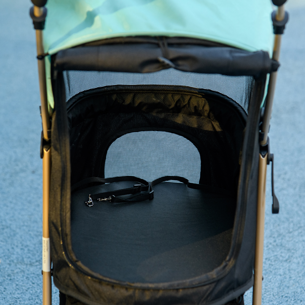 PawHut Foldable Pet Stroller for XS and S Dogs with Rain Cover - Green