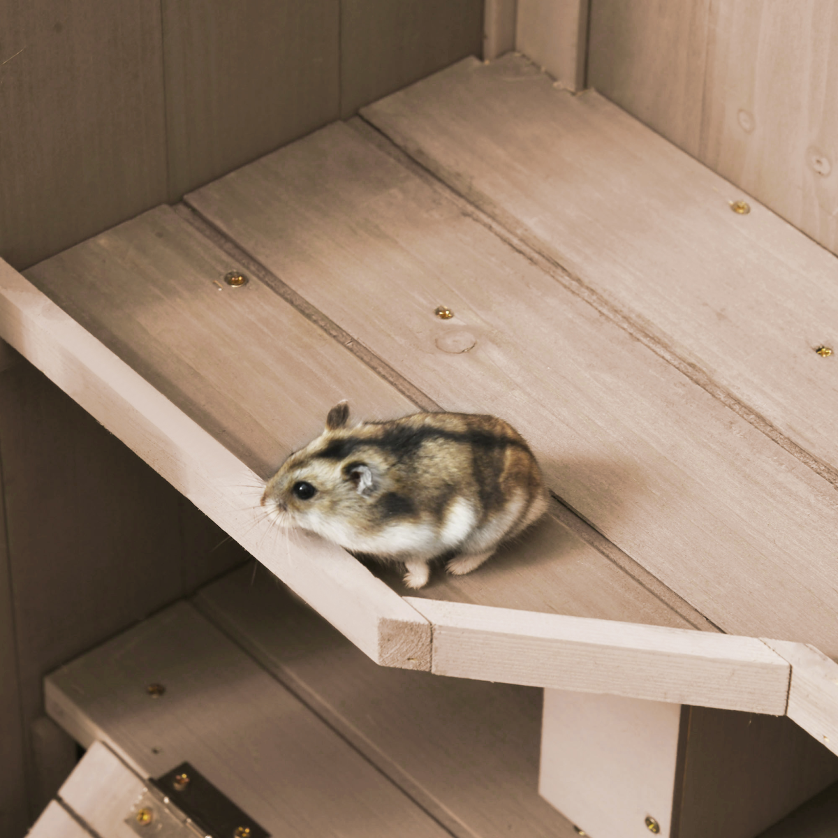 Pawhut 3-Tier Wooden Hamster Cage, Small Animal Hutch with Two Huts, Two Ladders, Mesh Roof, Pull-Out Tray, Wheels, Natural Wood
