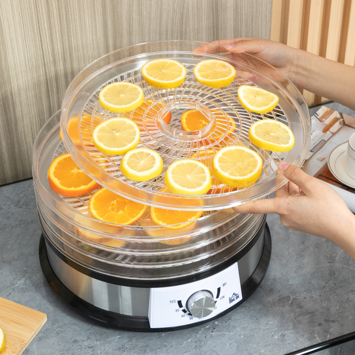 HOMCOM 5-Tier Food Dehydrator, 250W Stainless Steel Dryer