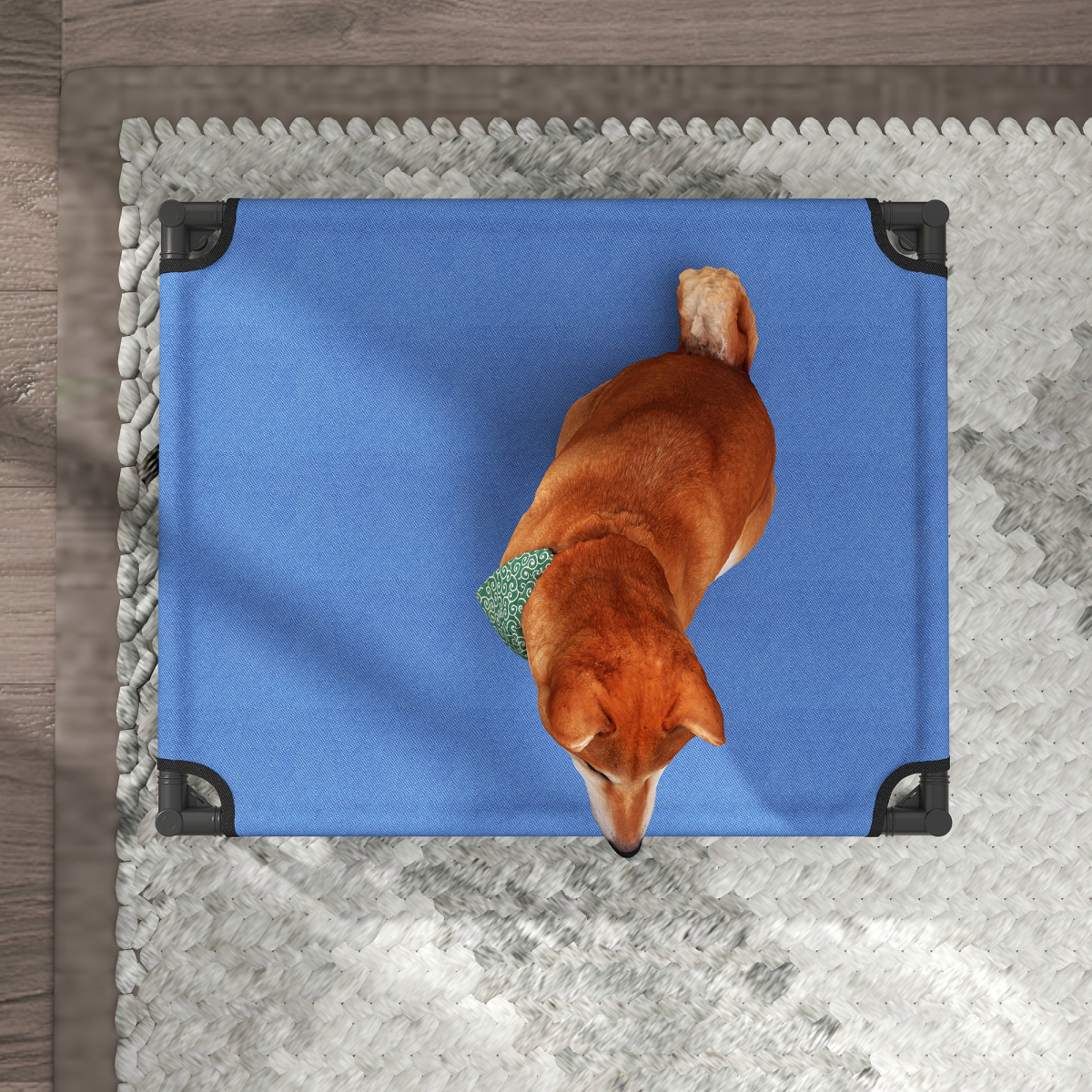 PawHut Elevated Pet Bed with Powder-Coated Metal Frame, Oxford Fabric, Indoor/Outdoor Folding Cot with Carry Bag